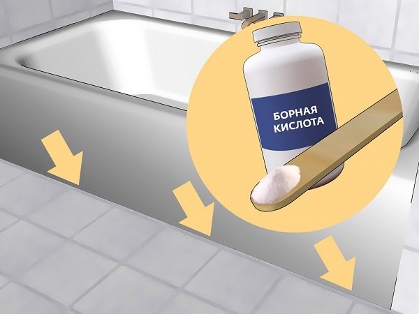 Борная кислота поможет избавиться от чешуйницы