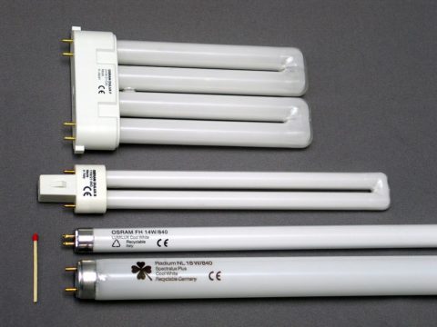 Люминесцентные лампы Люминесцентные лампы